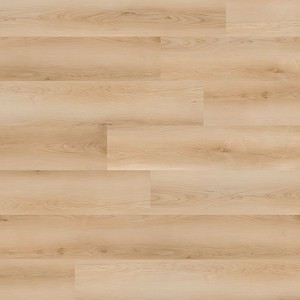 Dansbee Glue Down Collection Contemporary Maple Laguna